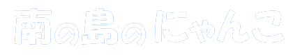 南の島のにゃんこ